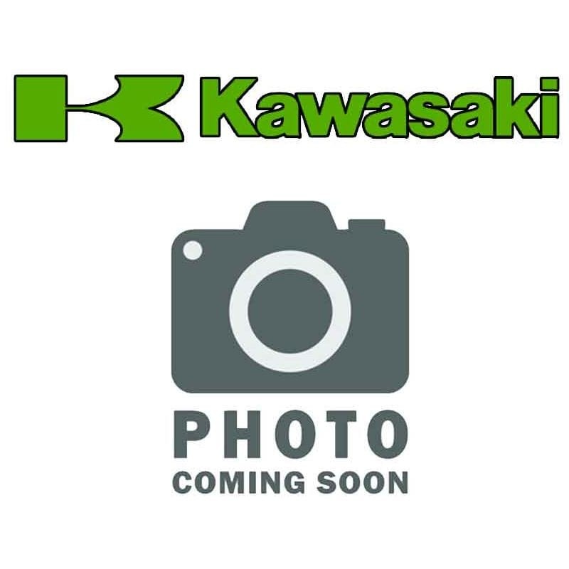 Switch, Temperature by Kawasaki