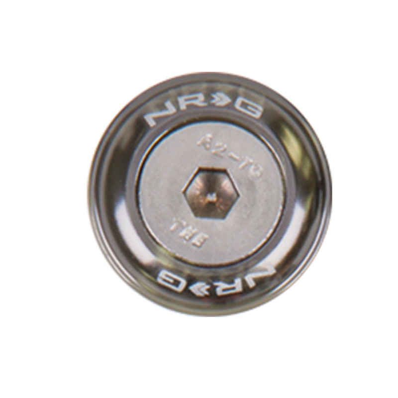 NRG Fender Washer Kit w/Rivets For Metal (Gunmetal) – Set of 10