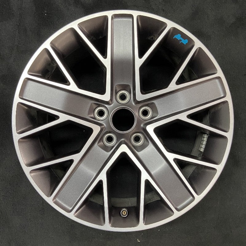 20″ WRANGLER 22-23 20×8 5 spoke double spoke Original OEM Wheel Rim