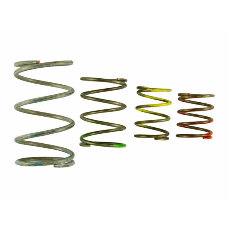 Turbosmart Gen V WG45/50 Spring Replacement Kit