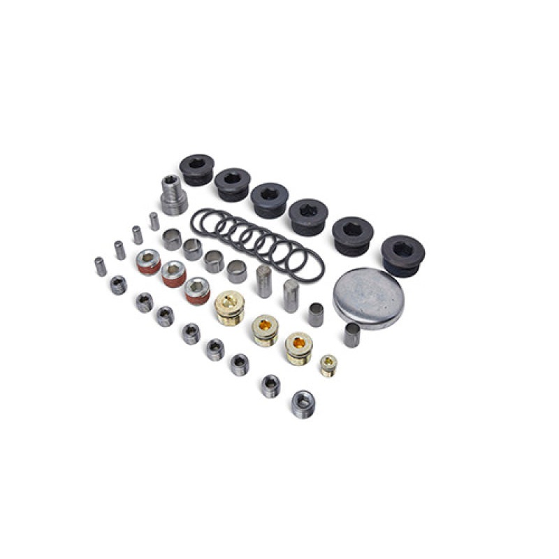 Ford Racing Block Plug and Dowel Kit (For Z Blocks)