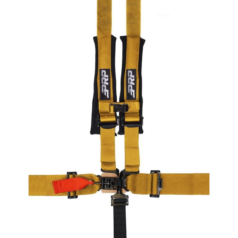 PRP 5.2 Harness – Gold