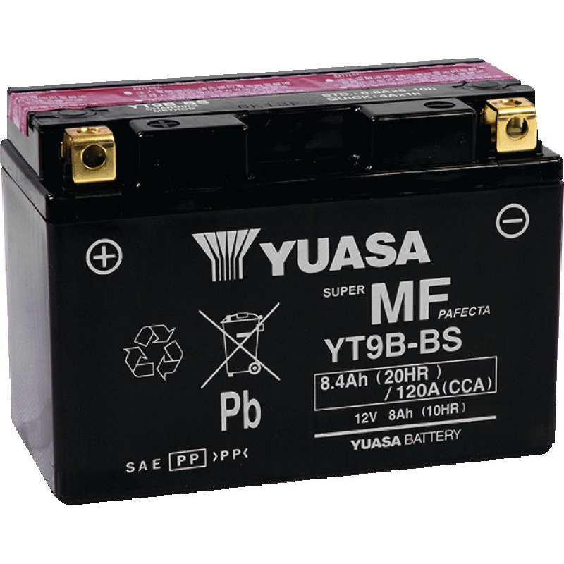 Yuasa YT9B-BS Maintenance Free 12-Volt AGM Battery w/Bottle