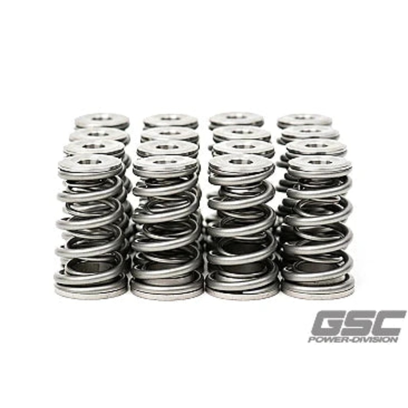 GSC Power Division Dual Conical EJ series motors