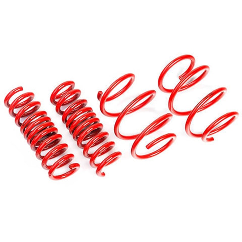 AST Lowering Springs | 2017-2023 Tesla Model 3 Long Range RWD (ASTLS-19-311)